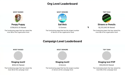 display screen of a custom leaderboard with the top fundraisers listed