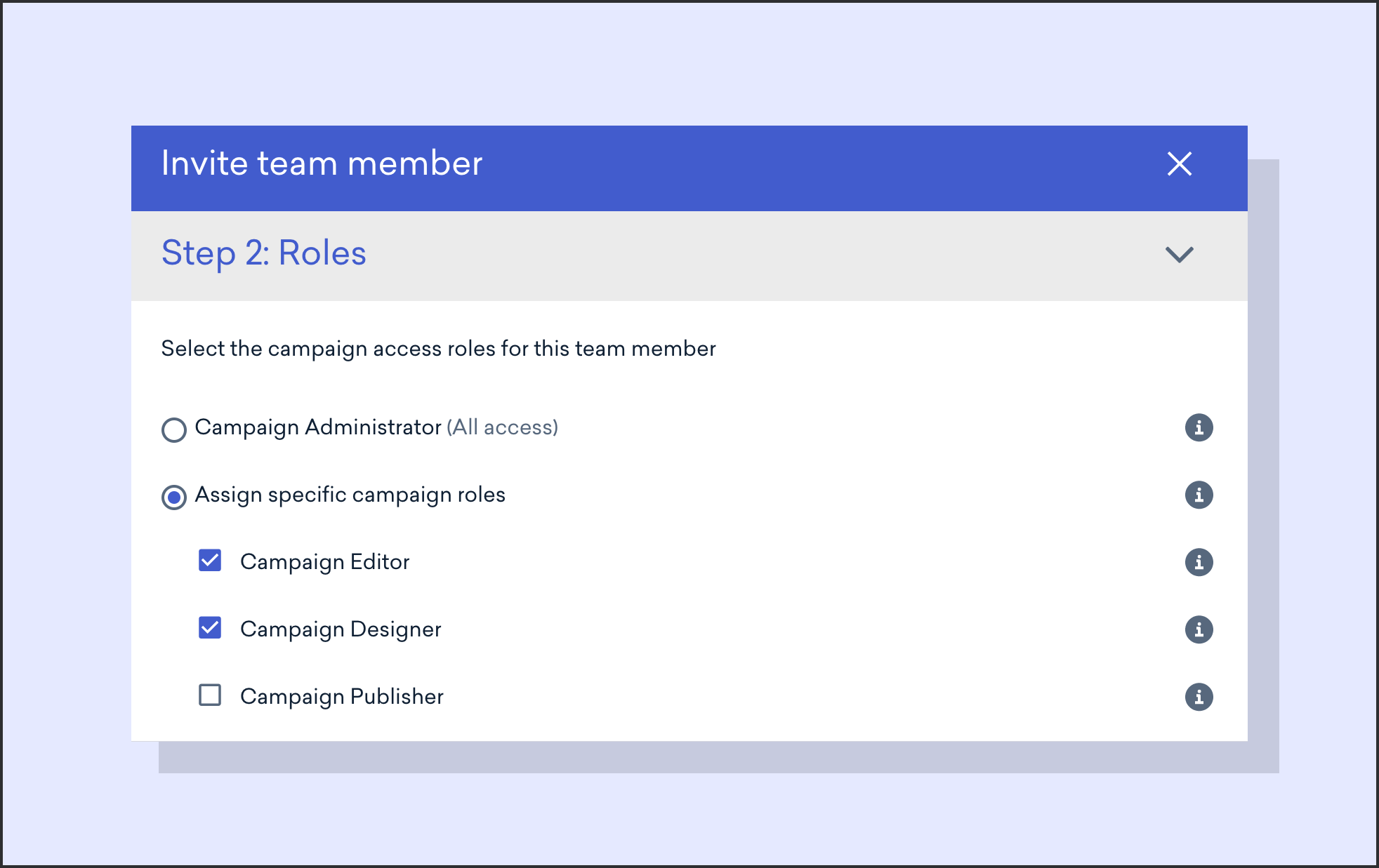 image of the campaign level roles modal